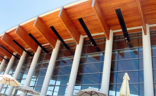 Etiam dictum egestas