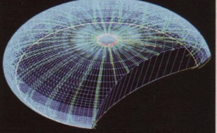 Architettura neo-organica