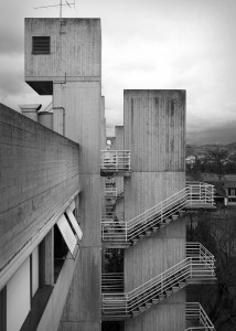 foto di Matteo Brancali 3