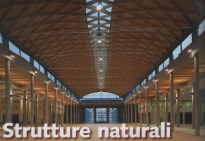 strutture lamellari0001